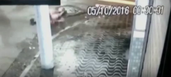 Jovem é baleado na nuca à queima-roupa durante assalto e sobrevive