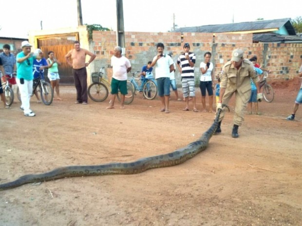 (Crédito: Diuivulgação)