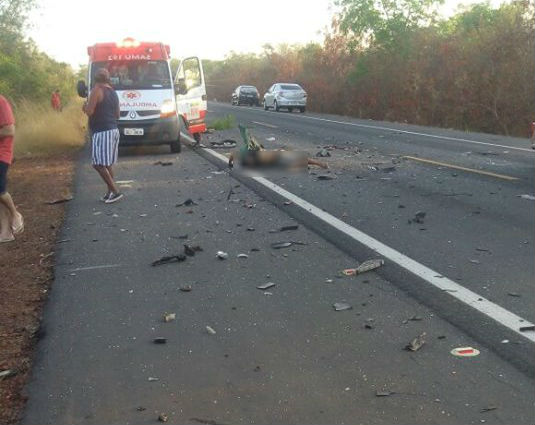 Acidente ocorreu na BR-343 em Capitão de Campos (Crédito: Reprodução)
