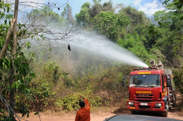 Corpo de Bombeiros tenta impedir avanço de fogo