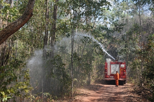 Corpo de Bombeiros tenta impedir avanço de fogo