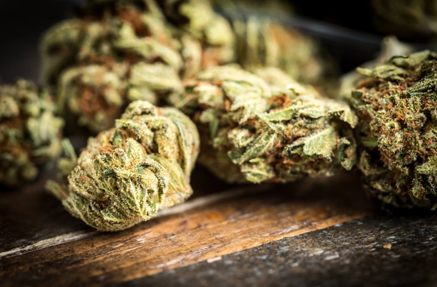 Vinho feito à base de cannabis