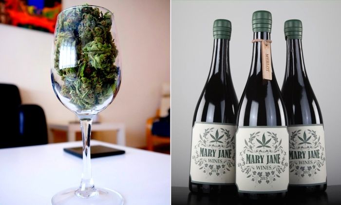 Vinho feito à base de cannabis