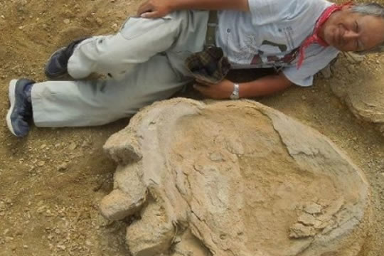 Pesquisadores descobrem pegada de 77 cm de largura