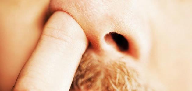 Olfato pode dizer quanto tempo de vida você vai ter