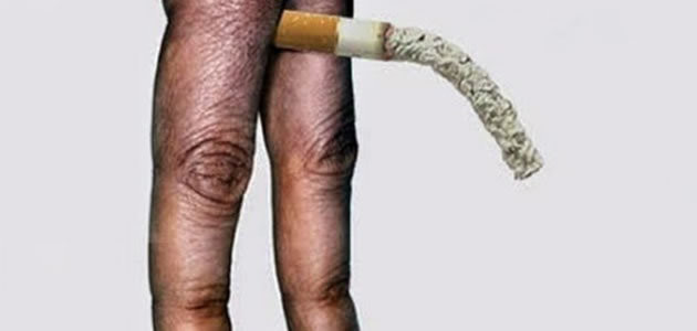 7 coisas curiosas que você precisa saber sobre a ereção