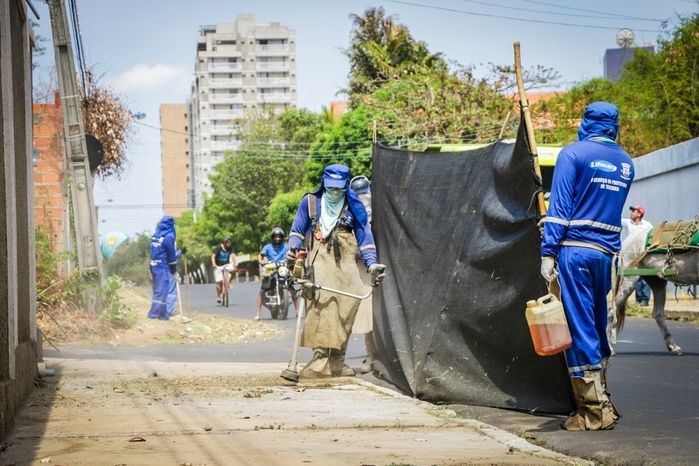 Com início das chuvas prefeitura reforça o cuidado contra a dengue (Crédito: Wilson Filho)