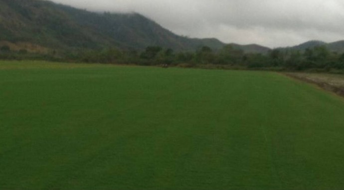 Novo gramado do Maracanã será colocado no estádio em breve (Crédito: Globoesporte.com)