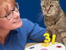Gato de 31 anos pode ser o mais velho do mundo