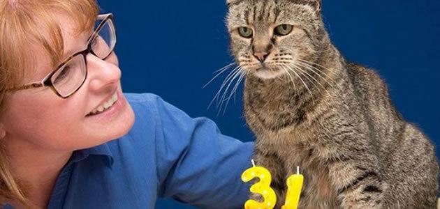 Gato de 31 anos pode ser o mais velho do mundo