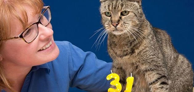 Gato de 31 anos pode ser o mais velho do mundo