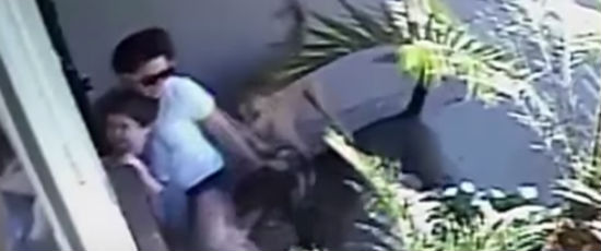 Cachorros atacam criança e mãe entra na frente para salvá-la