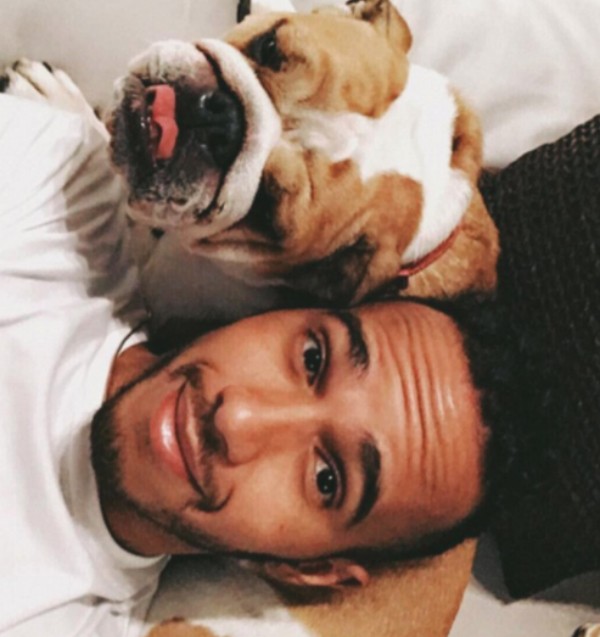 Lewis Hamilton congela esperma de seu bulldog antes de castrá-lo