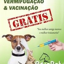 Dr. Lauro irá realizar o primeiro mutirão para o bem estar animal