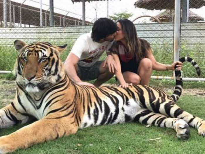 Patricia Abravanel posta foto com tigre e causa polêmica nas redes sociais