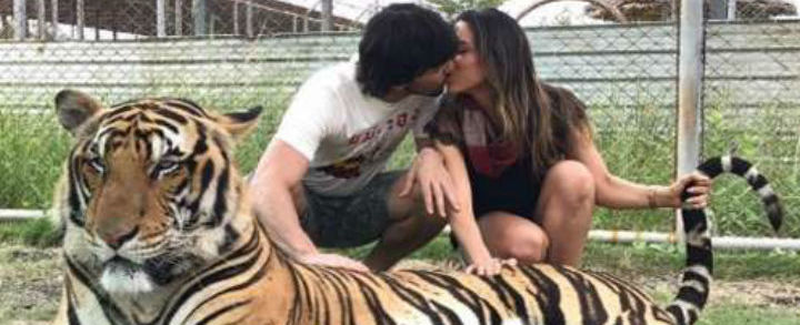 Patrícia Abravanel é criticada após postar foto na web com Tigre