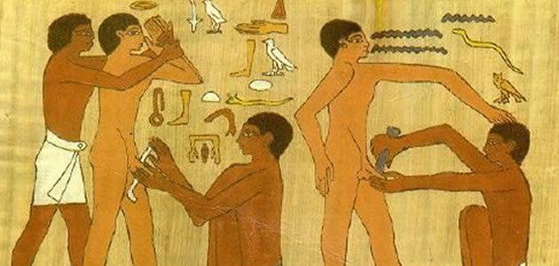 Coisas curiosas que você não sabia sobre o pênis humano