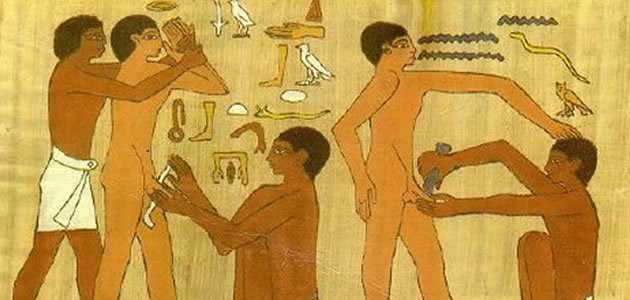 Coisas curiosas que você não sabia sobre o pênis humano
