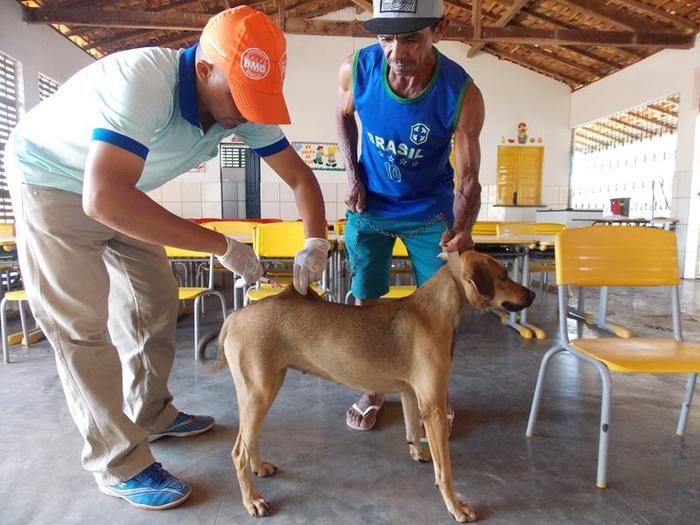 Campanha vacinação contra Raiva