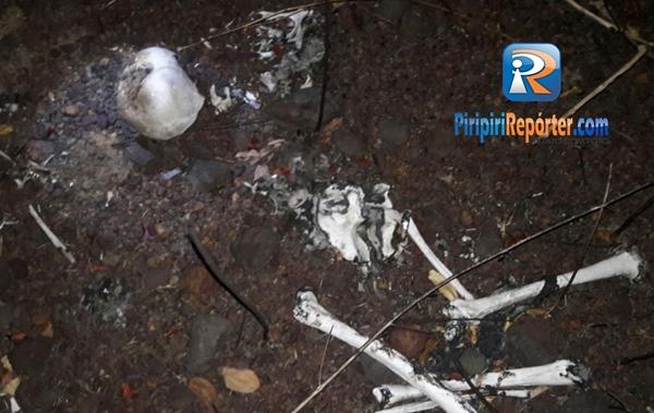 Ossada humana é encontrada por crianças em Piripiri
