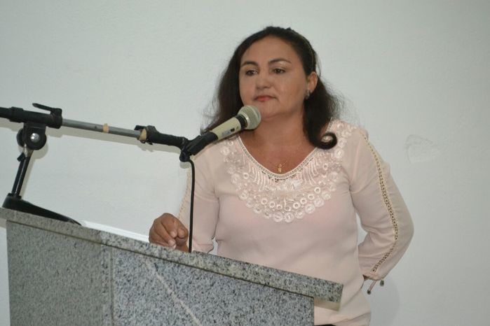 Câmara Municipal de Alegrete do Piauí realiza última sessão de 2016 - Imagem 39