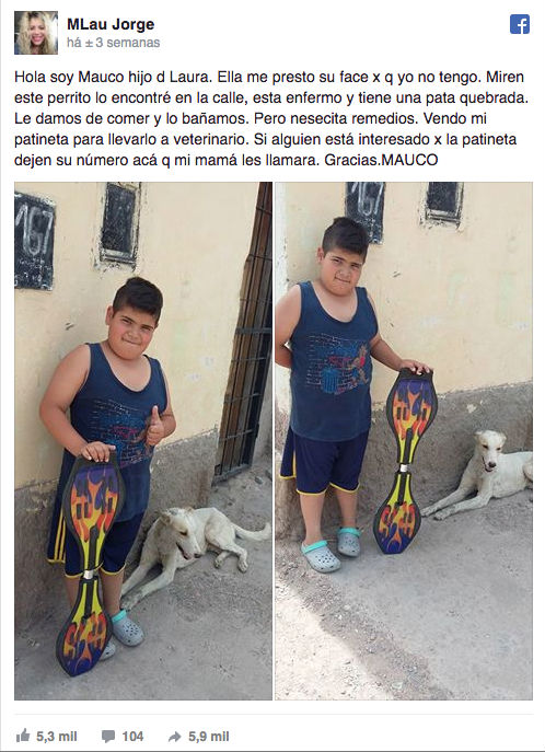 Para pagar tratamento de cão de rua, menino decide vender brinquedo