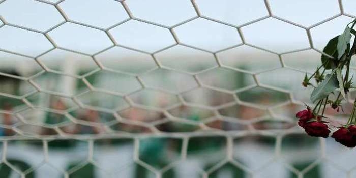 Protocolo para Chape x Galo é cumprido e WO duplo é oficial
