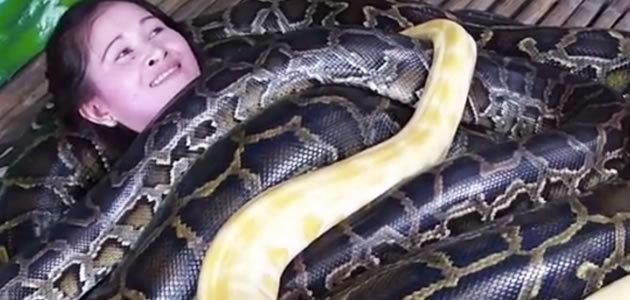 Massagem com cobras é sensação nas Filipinas