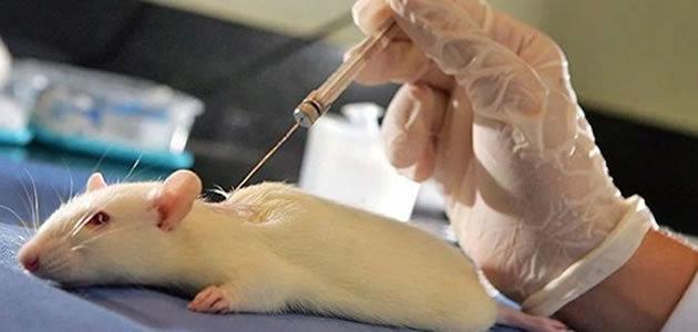 As situações que ocorrem devido aos testes em animais