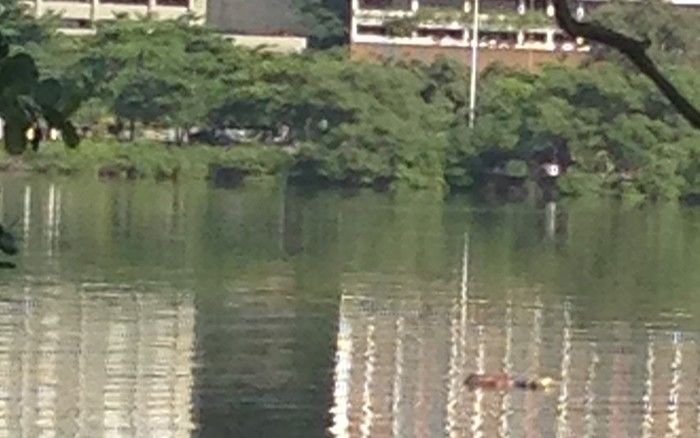 Corpo é encontrado na Lagoa, Zona Sul do Rio de Janeiro
