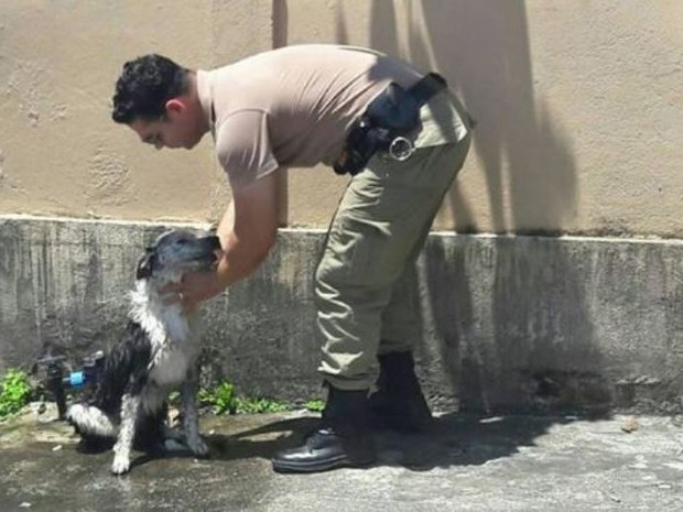 Cão recebeu banho de mangueira de policiais (Crédito: Reprodução)