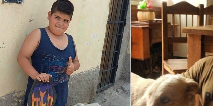 Menino decide vender seu brinquedo favorito para ajudar cão de rua