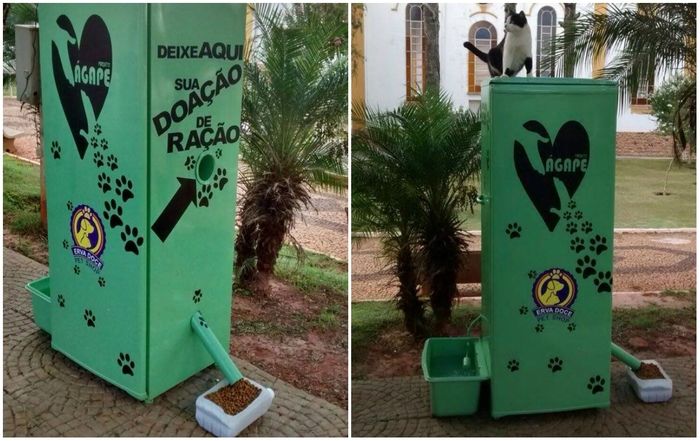 Máquina para alimenta cães