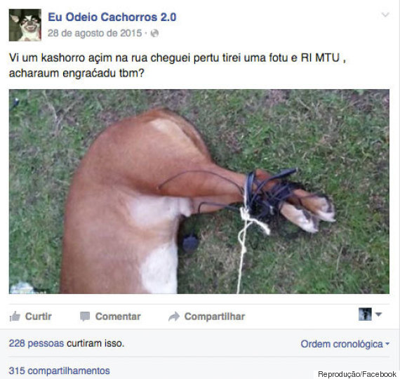 Páginas com conteúdo ilegal (Crédito: Divulgação )