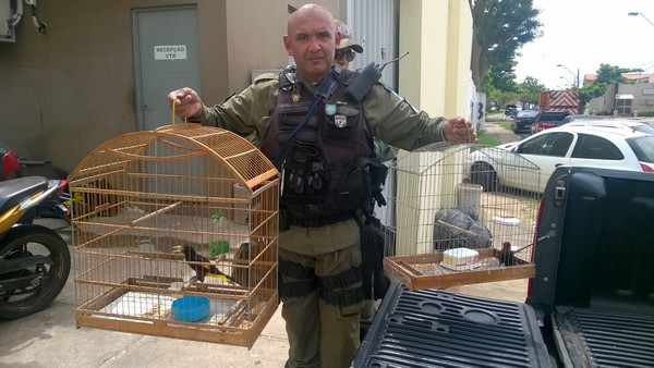 Animais apreendios com Michelyson Herman Soares Lima