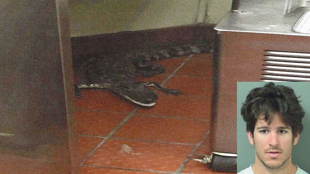 Jovem joga jacaré vivo dentro de restaurante (Crédito: Reprodução)