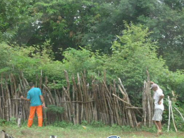 Corpo da vítima é encontrado (Crédito: Floriano News )