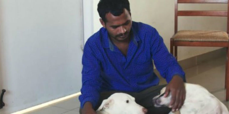 Por dez anos, homem junta dinheiro e combra ambulância para animais
