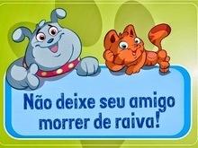 Campanha de vacinação contra raiva começa nesta quinta (18) em SMT