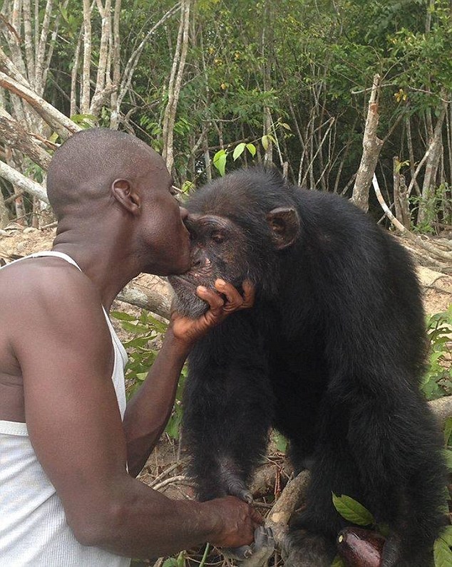 Morador sempre ajudou chimpanzé (Crédito: Reprodução)
