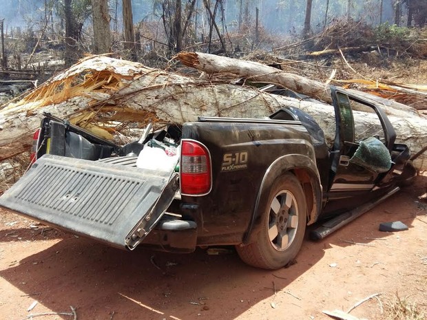 rvore tombou sobre carro na vicinal 44 (Crédito: Arquivo pessoal)