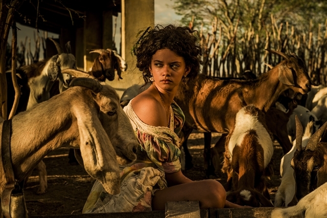 Leonor se apaixona por Afrânio