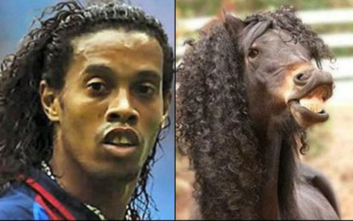 Fotos de famosos iguaizinhos a animais (Crédito: Reprodução)