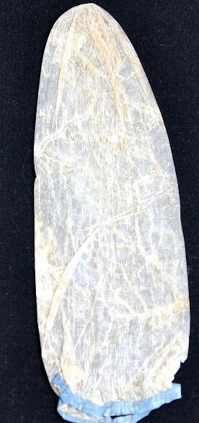 Camisinha leiloada (Crédito: Reprodução)