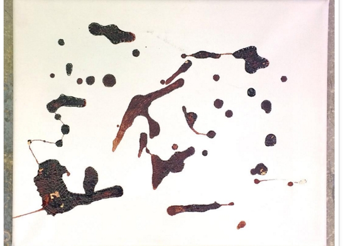 Samera Paz fez pintura com sangue menstrual