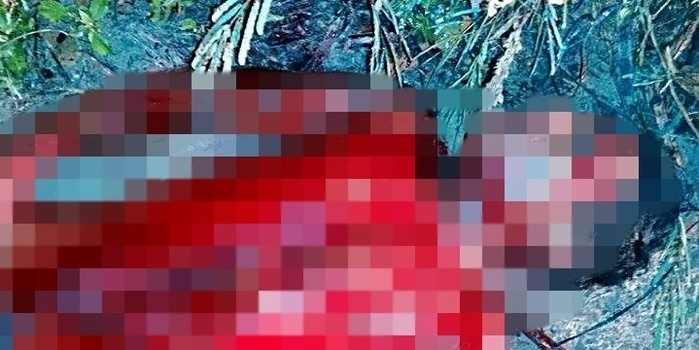 Homem é morto com 36 facadas após briga no litoral do Piauí