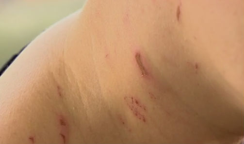 Mãe e filha são vítimas de agressão na porta de escola em São Paulo (Crédito: Reprodução)