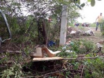 O acidente aconteceu na BR-404 em Pedro II