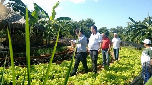 Produtores de Santa Rosa recebem visita de representante da FBB