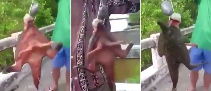 Peixe com pernas é capturado em rio da Tailândia e intriga pescadores (Crédito: Reprodução)